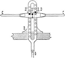 Hebelade [1]