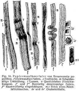 Fig. 16.