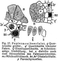 Fig. 17.