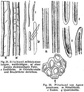 Fig. 20., Fig. 21.